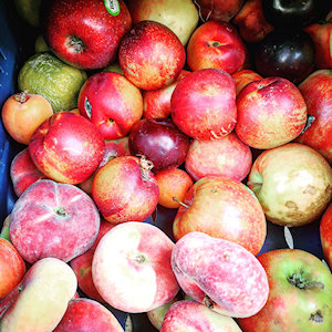 Image Brot füer Nachbarn: Äpfel